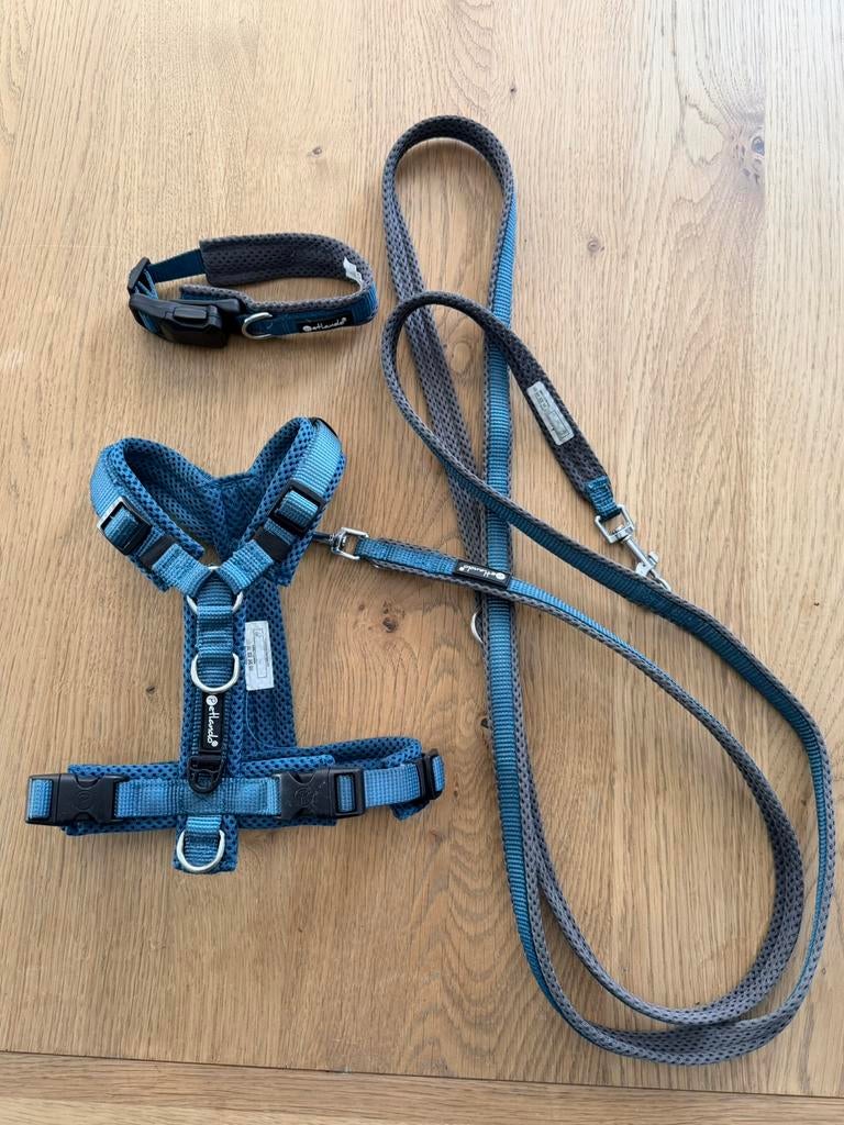 Petlando tuigje, halsband en riem, Ophalen of Verzenden, Zo goed als nieuw