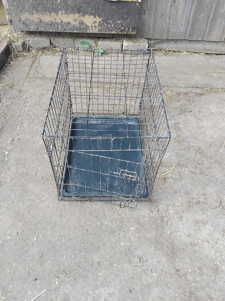 Kooi, Dieren en Toebehoren, Ophalen of Verzenden, Minder dan 65 cm