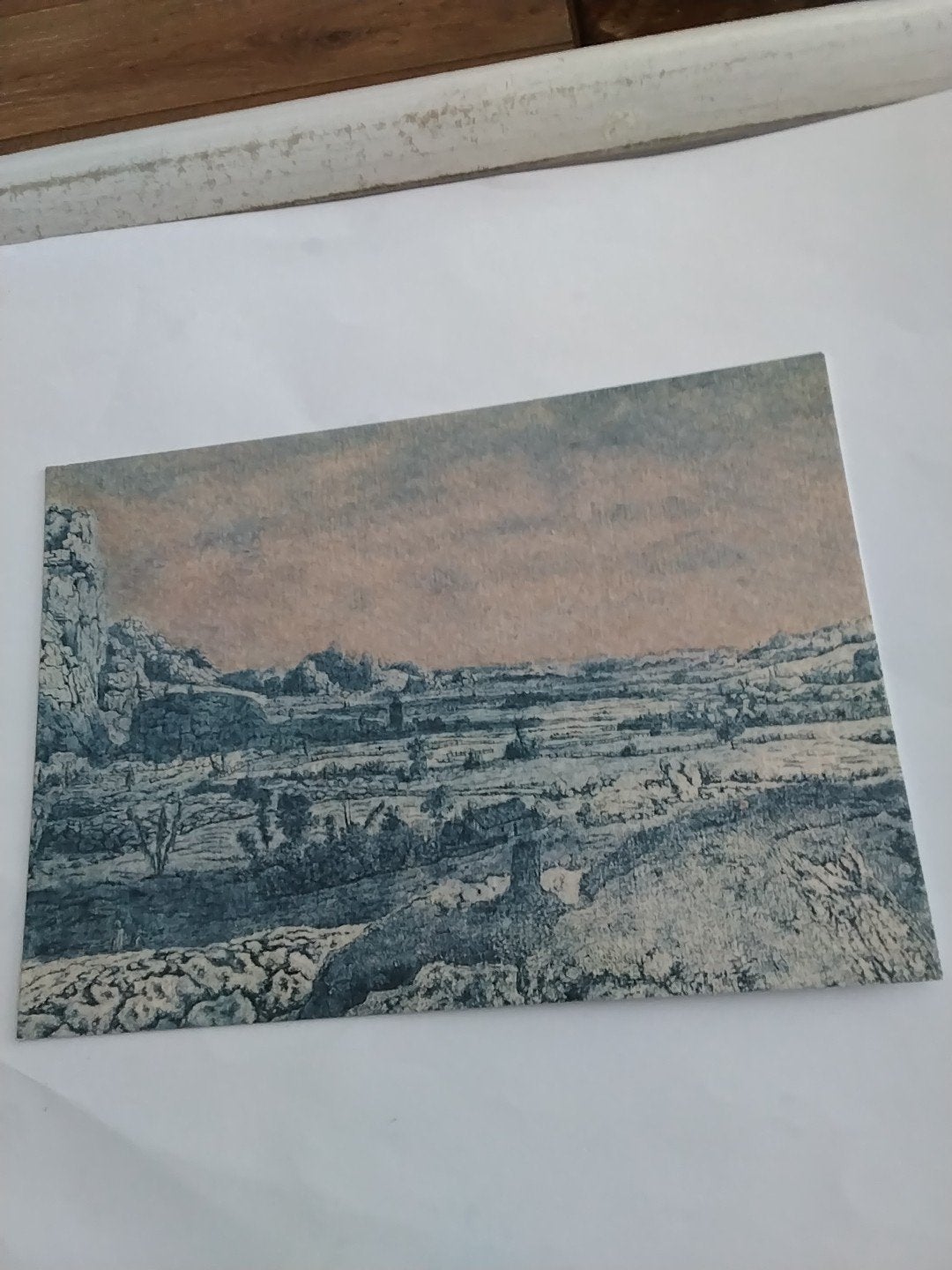 prent: Bergvallei met omheinde velden (Hercules Segers), Ophalen of Verzenden, Voor 1920, Ongelopen