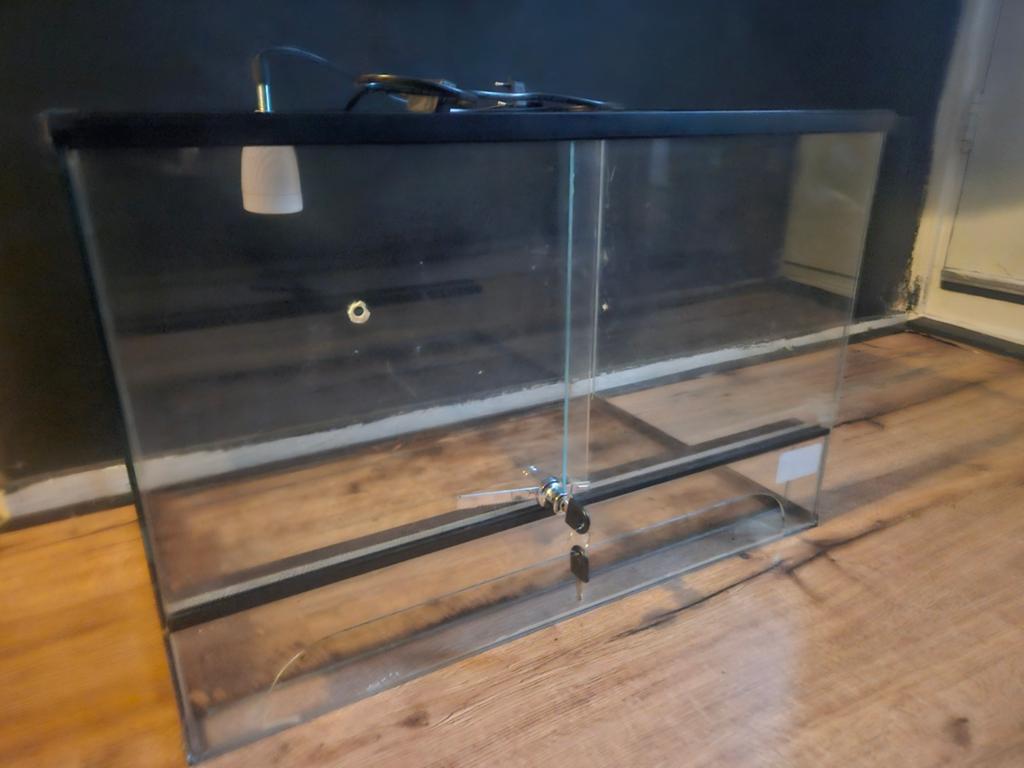 Terrarium 40 x 60 x 40 (GEEN SCHADE), Dieren en Toebehoren, Reptielen en Amfibieën | Toebehoren, Ophalen, Zo goed als nieuw, Terrarium of Paludarium