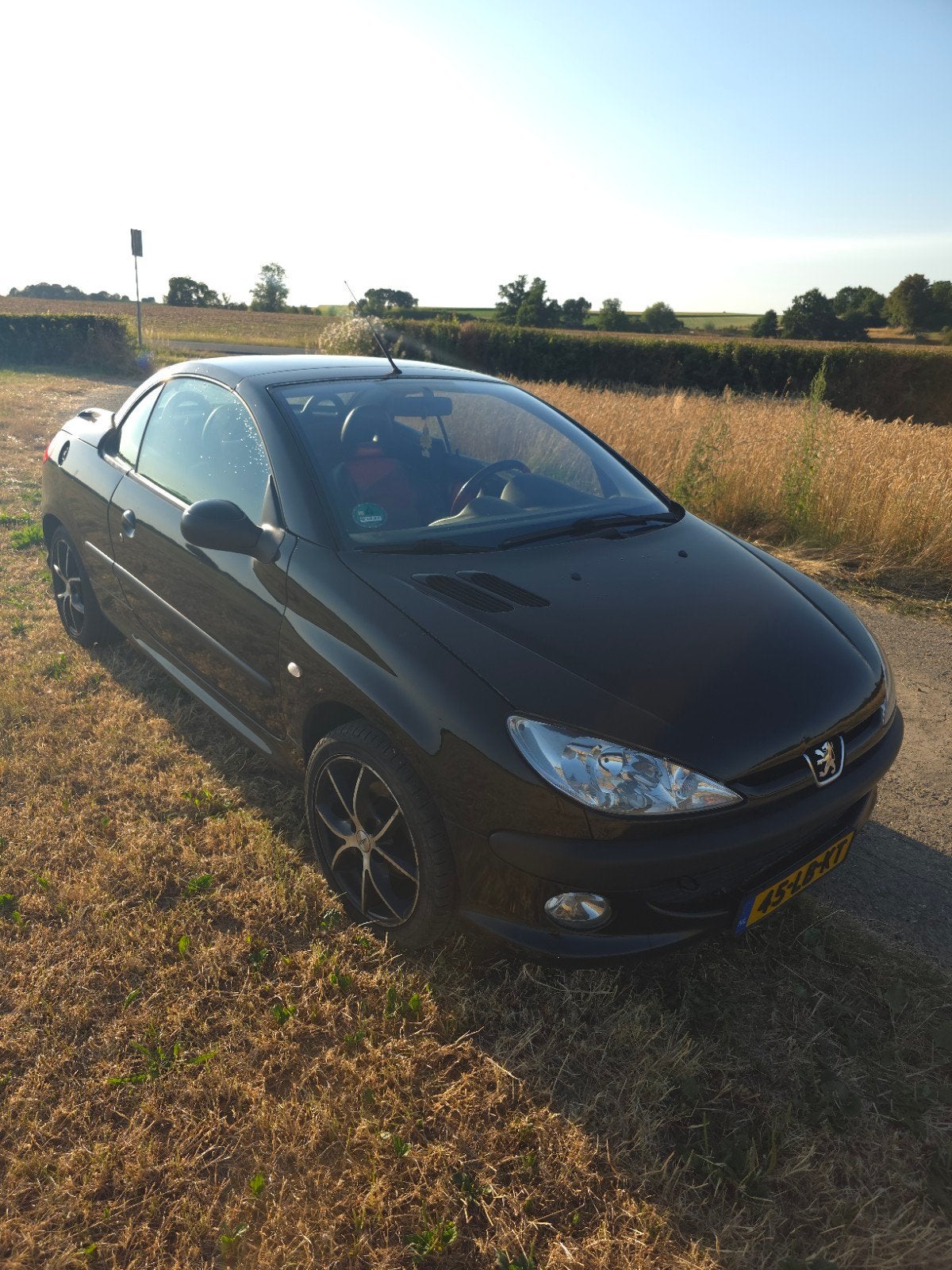 Peugeot 206 1.6 16V CC 2002 Zwart, Voorwielaandrijving, 4 cilinders, Cabriolet, 4 stoelen