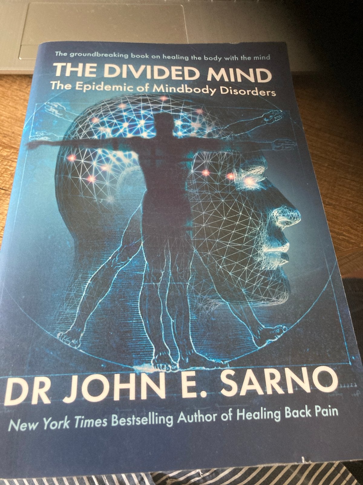 The Divided Mind: De Epidemie van Lichaam-Geest Aandoeningen, Boeken, Ophalen of Verzenden, Zo goed als nieuw, Gezondheid en Conditie