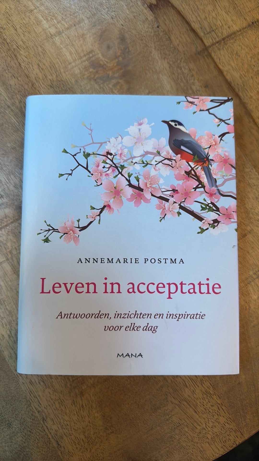 Annemarie Postma - Leven in acceptatie, Ophalen of Verzenden, Zo goed als nieuw, Overige onderwerpen, Achtergrond en Informatie