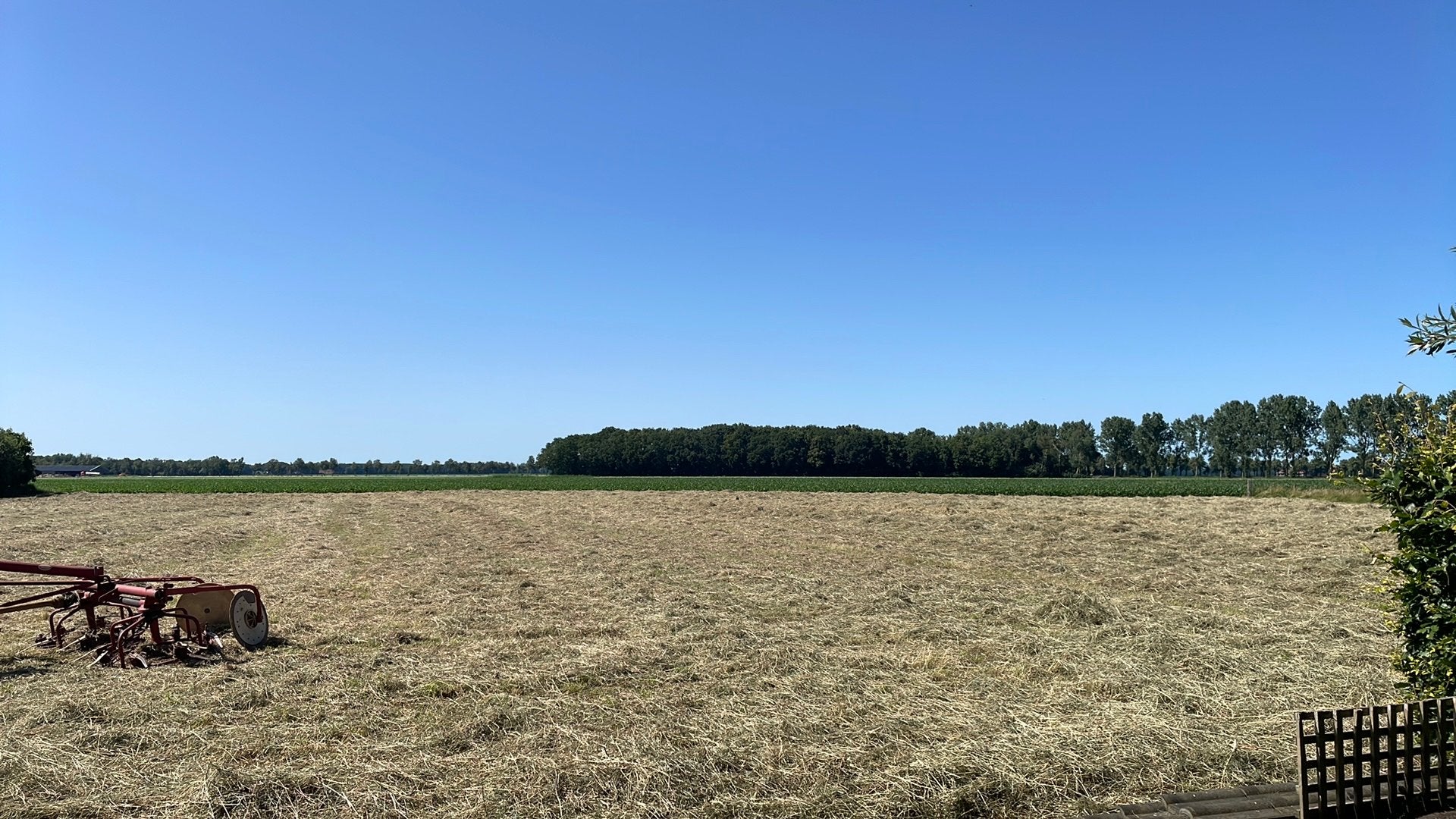 Kleine hooi pakjes(biologisch), Ophalen, Vee
