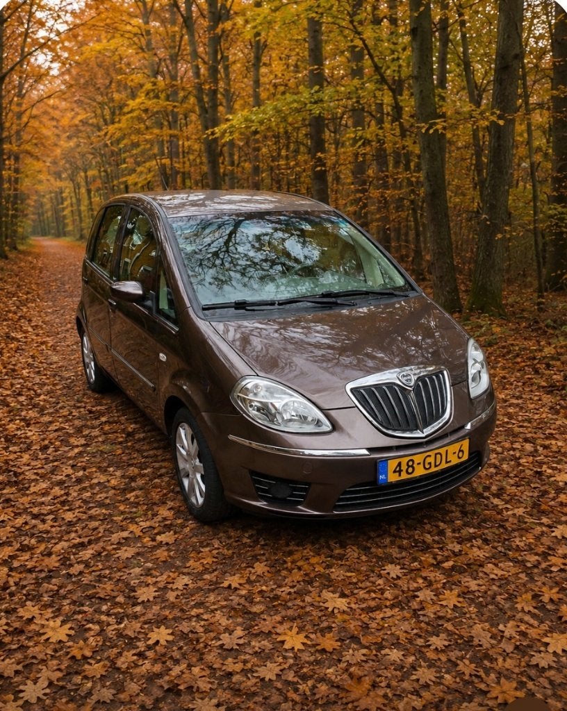 Lancia Musa 1.4 8V 2008 Bruin, Auto's, Voorwielaandrijving, 4 cilinders, Bruin, 400 kg