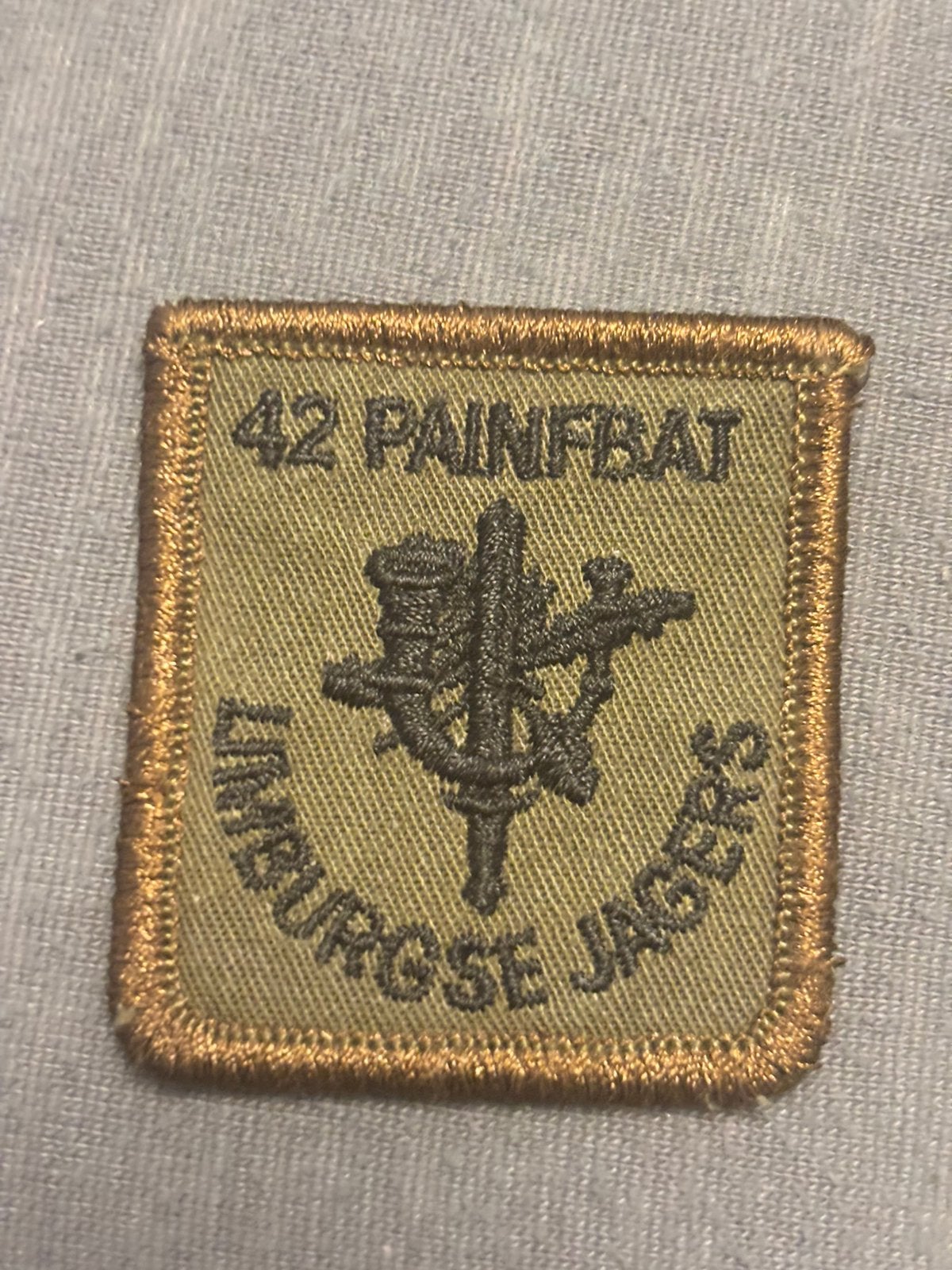 5x5 borst embleem limburgse jagers, Verzamelen, Verzenden, Landmacht, Nederland, Embleem of Badge