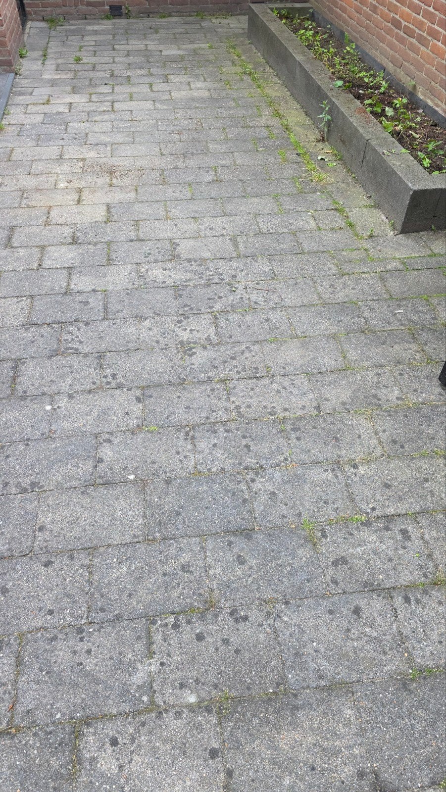 GRATIS: betonnen klinkers (30X20), Gebruikt, Klinkers, Ophalen of Verzenden, 10 m² of meer