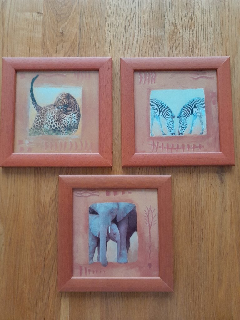 3 schilderijlijsten 23 x 23 cm , olifant zebra jachtluipaard, Minder dan 50 cm, Ophalen of Verzenden, Zo goed als nieuw, Schilderij