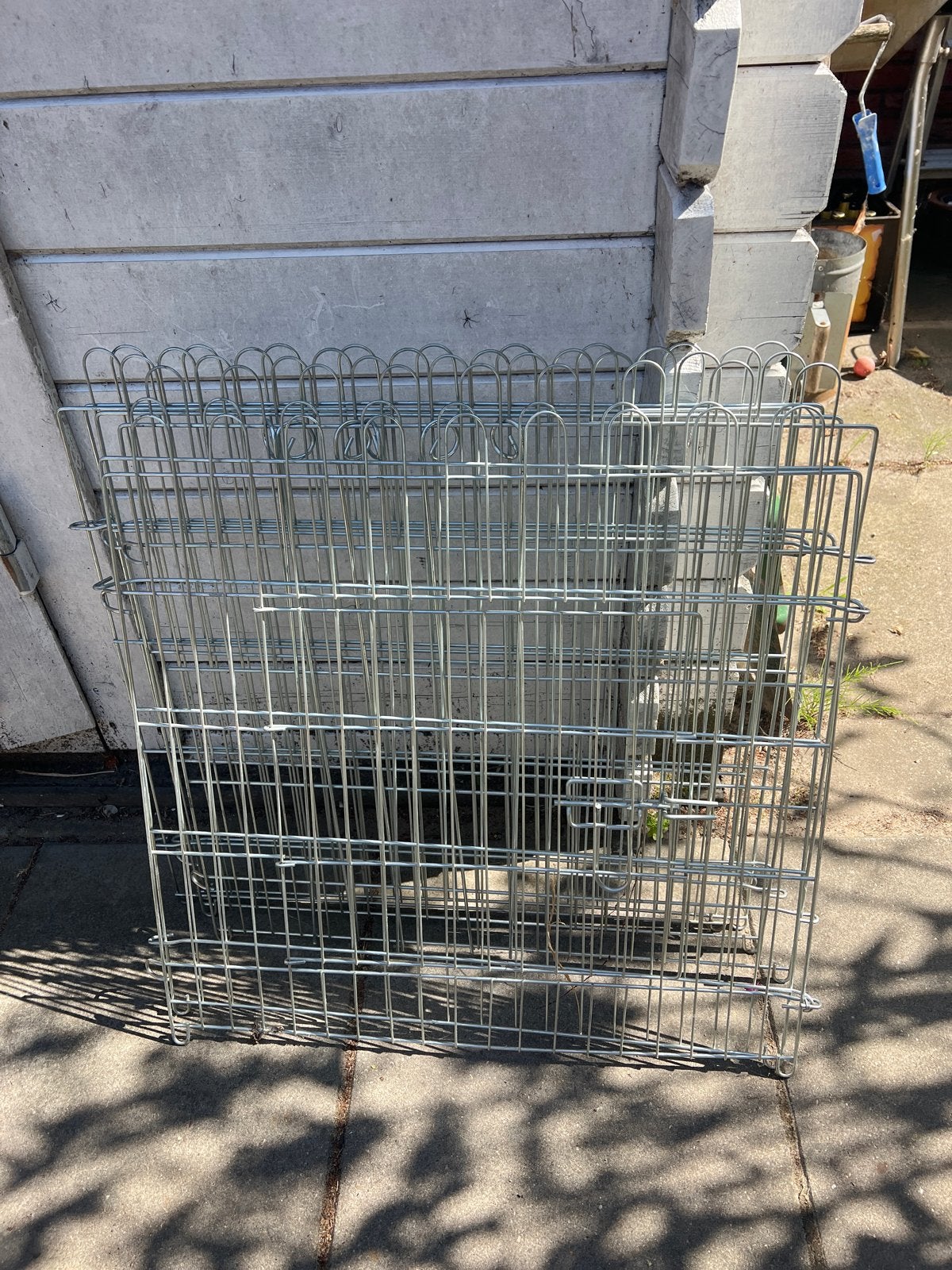 Te koop aangeboden huisdieren ren, Ophalen, 110 cm of meer, Konijn, 60 tot 90 cm