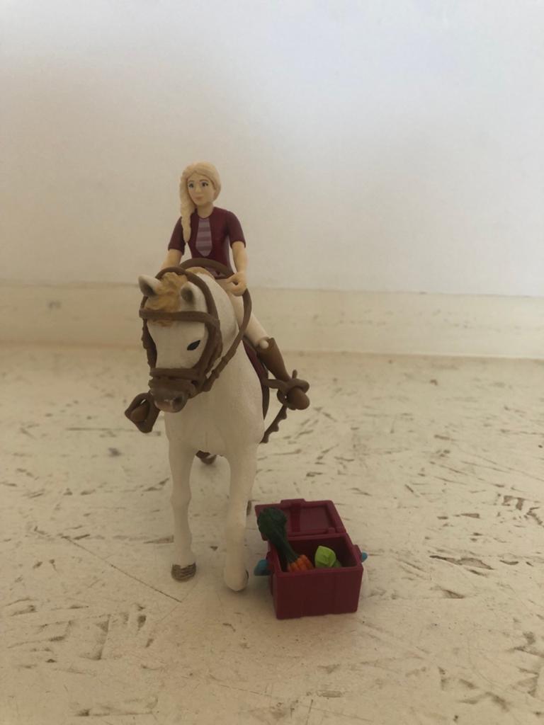 Schleich paard met meisje en accessoires, Ophalen of Verzenden, Zo goed als nieuw, Meisje