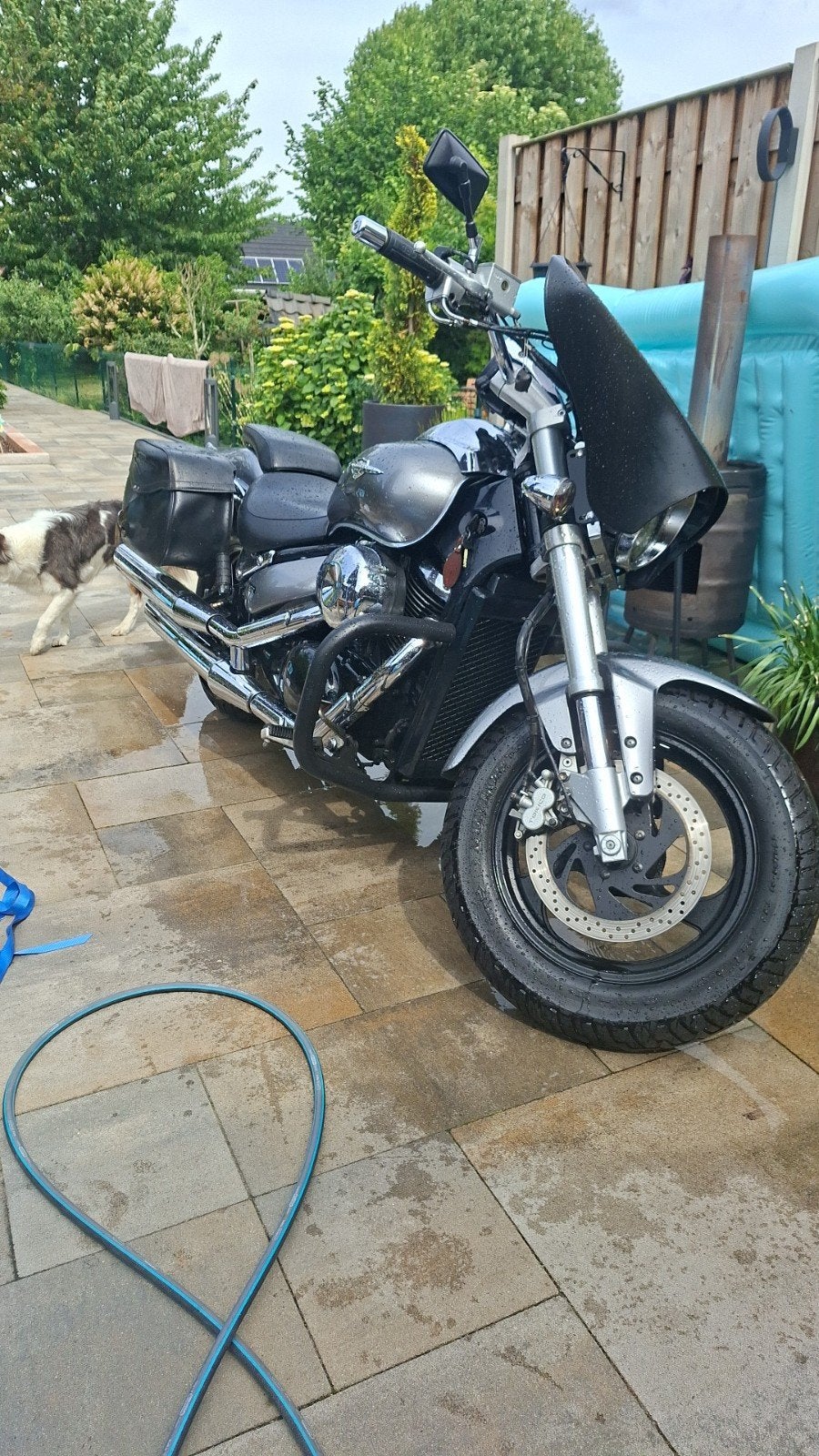 Te koop suzuki m 800 bj 2007 km 51000 kleur grijs metallic, Motoren, Motoren | Suzuki, 2 cilinders, Motorrijbewijs A, Gebruikt