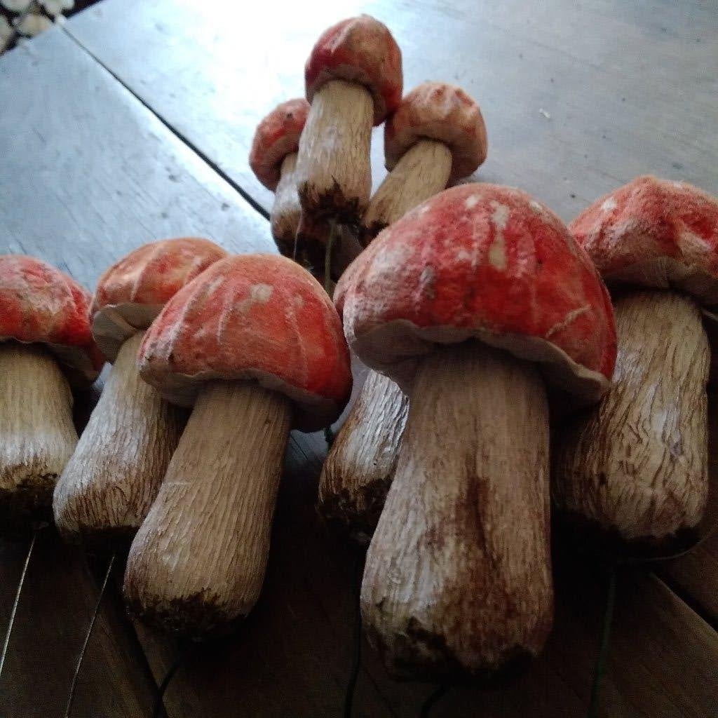 9 prachtige vintage papier-mâche paddenstoelen, Antiek en Kunst, Verzenden