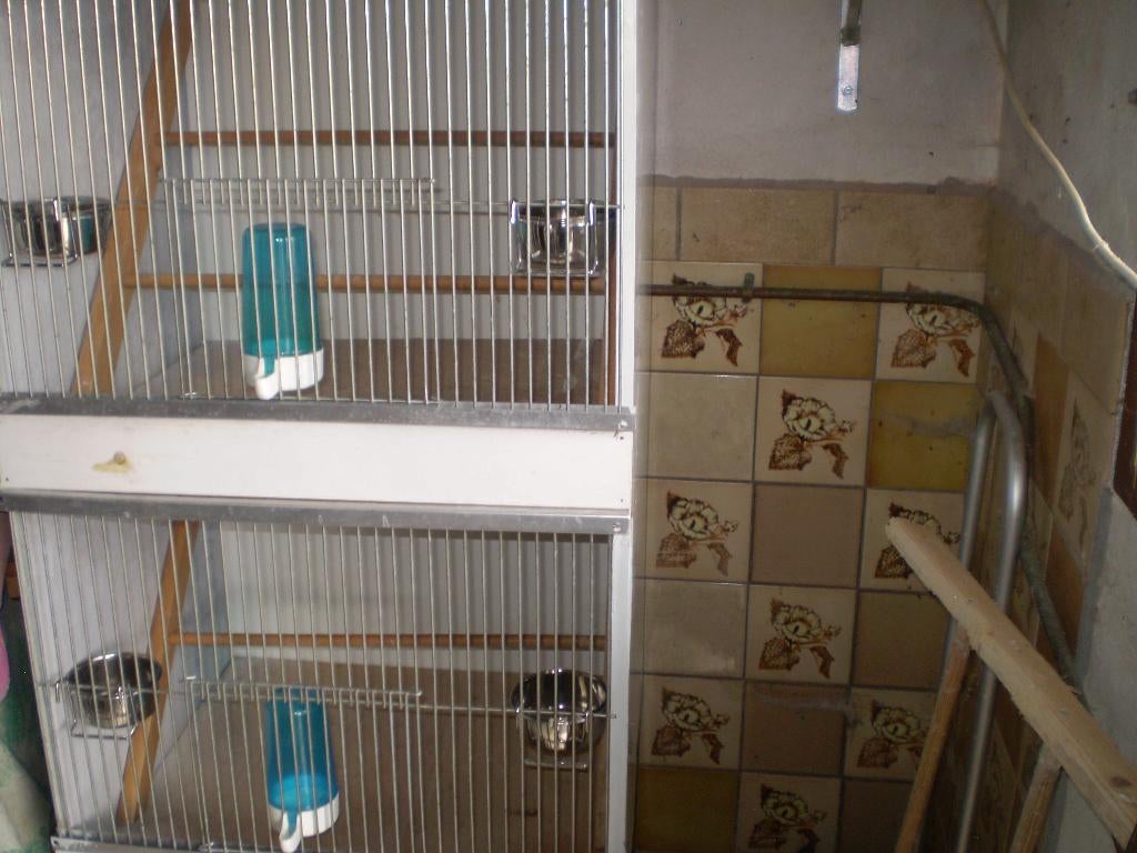 Vogelkooi, Dieren en Toebehoren, Ophalen, Gebruikt, Hout, Vogelkooi