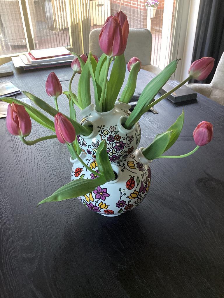 Tulpenvaas, Huis en Inrichting, Ophalen, Overige kleuren, Aardewerk of Porselein, Zo goed als nieuw