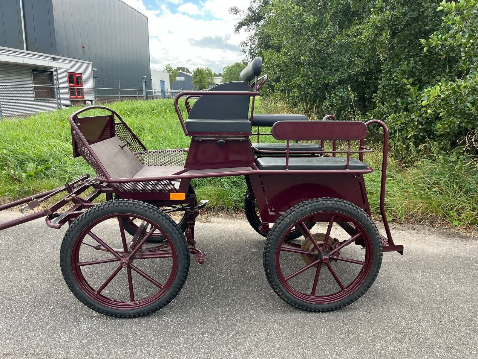 Prachtige Jannes vd Wal wagen, Marathonwagen, Paard