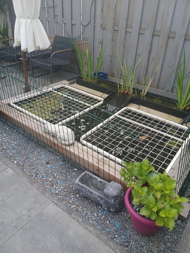 Vijver plantenfilter pomp koi's, Tuin en Terras, Vijvers, Ophalen
