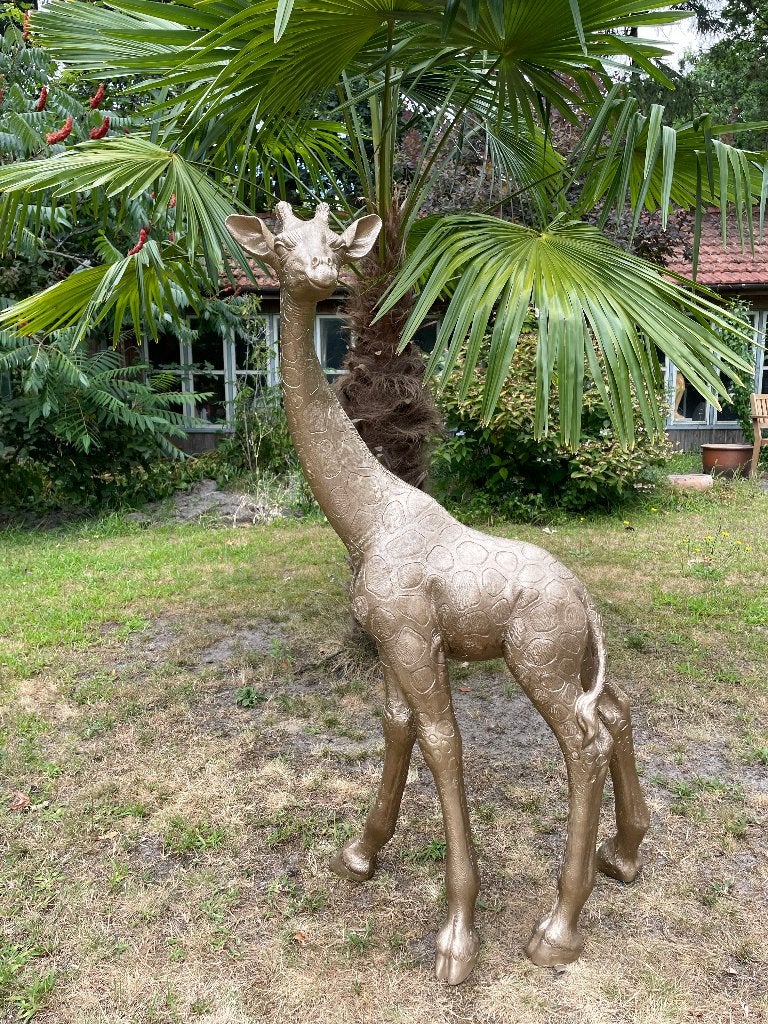 Giraf, giraffe, brons tuin, dieren, zwanger 120cm, Ophalen, Nieuw, Kunststof, Dierenbeeld