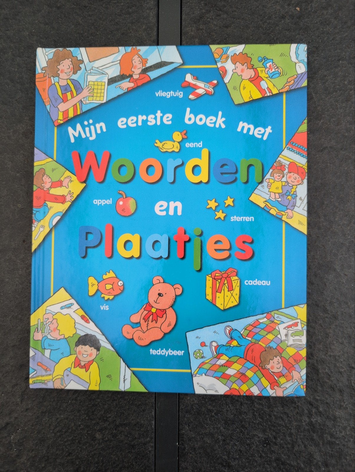 Mijn eerste boek met woorden en plaatjes, Ophalen of Verzenden, Zo goed als nieuw, Uitklap-, Voel- of Ontdekboek, 1 tot 2 jaar