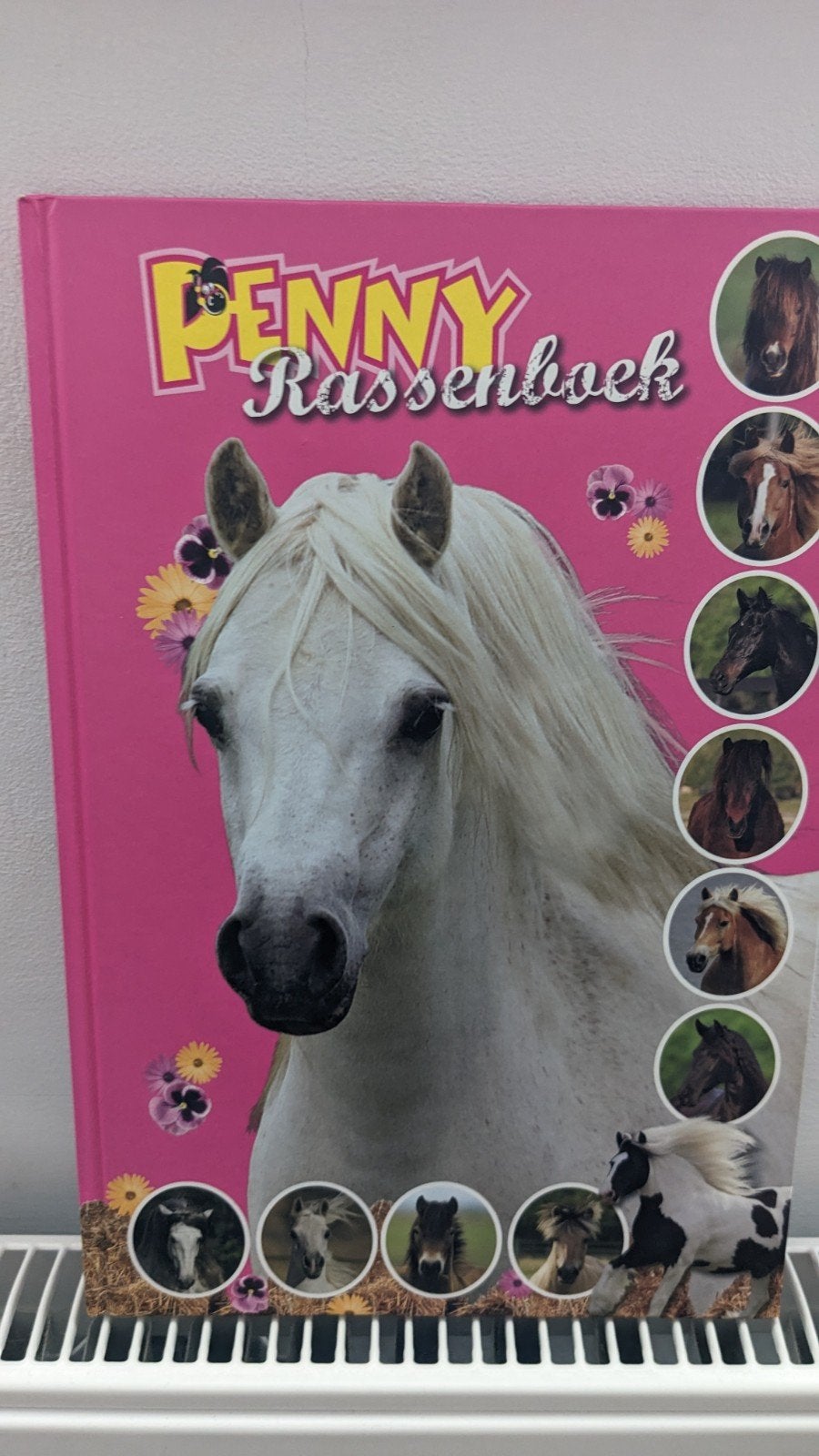Penny Rassenboek & Ponywijzer Deel 3 - Paardenboeken, Ophalen, Gelezen, Teddy Toys, Non-fictie