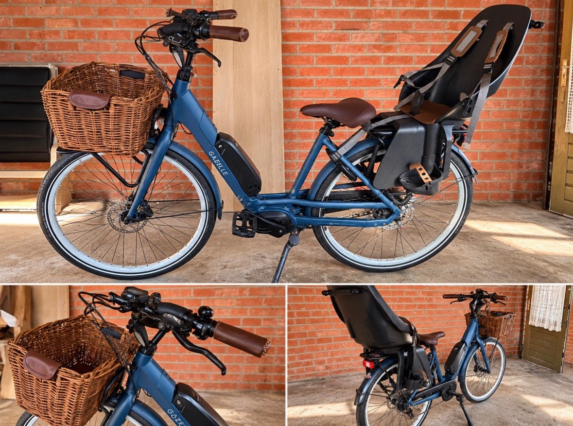 Gazelle Bloom, Fietsen en Brommers, Ophalen, 2 zitjes, Zo goed als nieuw, Gazelle
