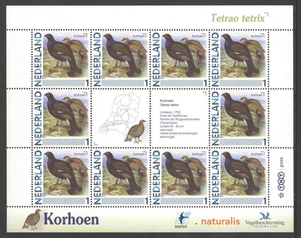 Postzegels Vogels in Nederland: Korhoen, Ophalen of Verzenden, Na 1940, Postfris