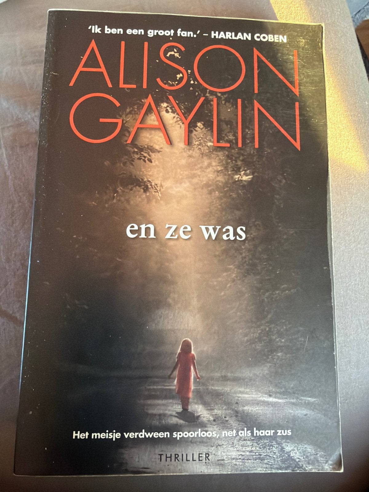 D4.  Alison Gaylin - En ze was, Ophalen of Verzenden, Zo goed als nieuw, Alison Gaylin