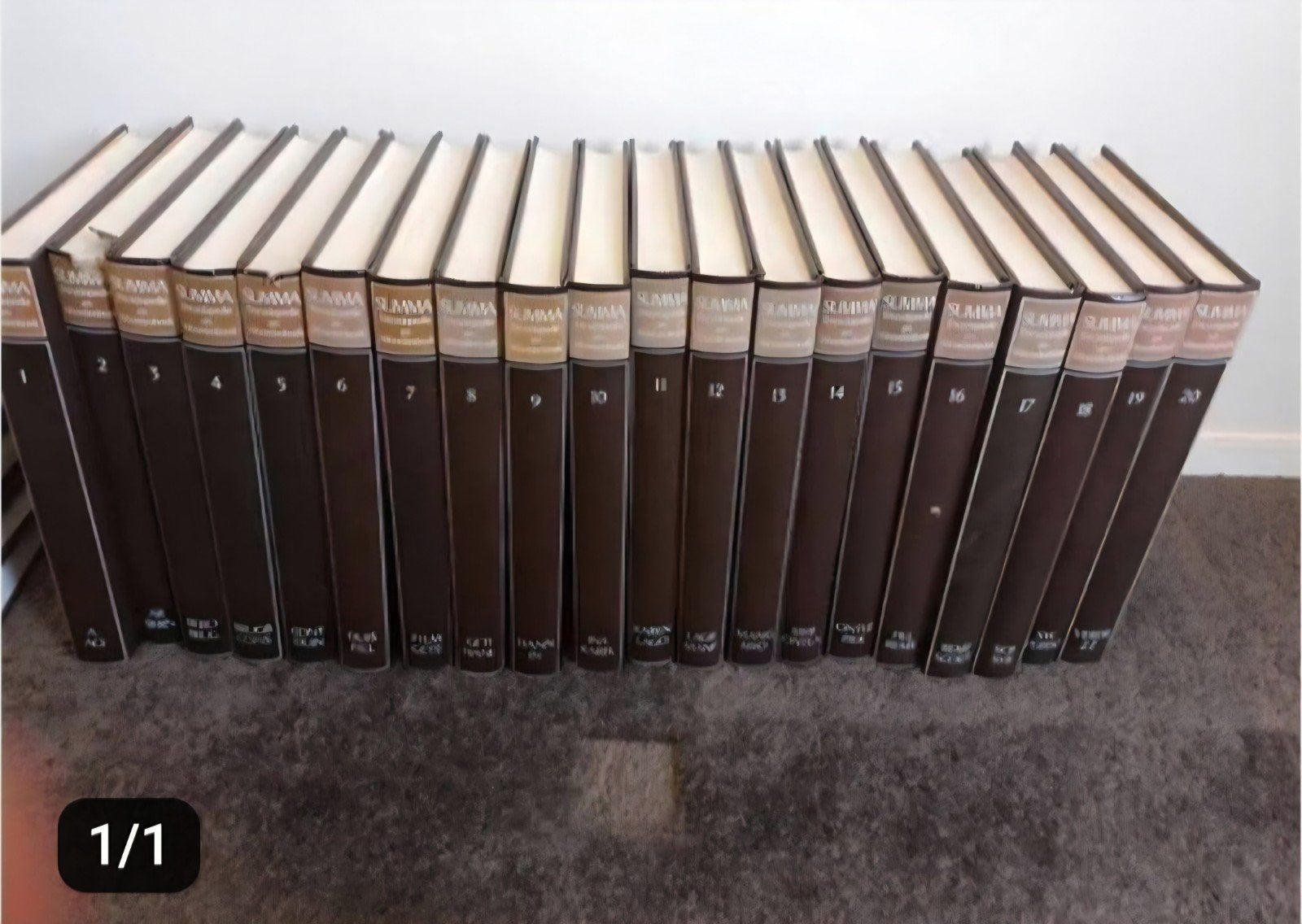 Summa Encyclopedie - Complete serie deel 1 t/m 20, Boeken, Ophalen