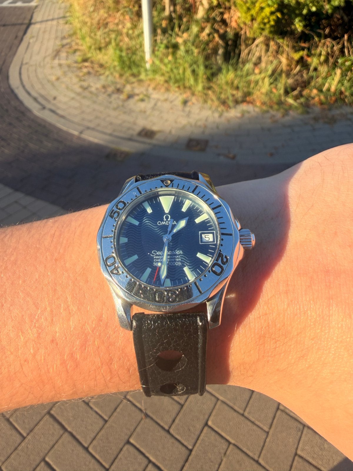 Omega Seamaster Professional 300M Jacques Mayol 1999, Ophalen, Leer, Staal, Polshorloge