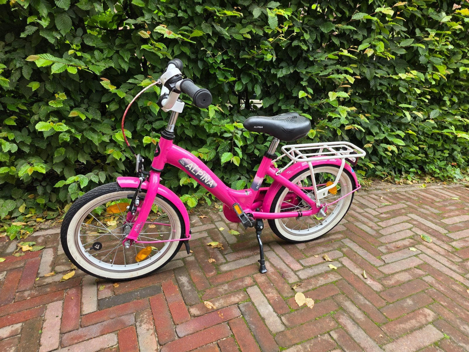 Alpine 16 inch fiets, Ophalen, Zo goed als nieuw, 16 tot 20 inch, Alpina
