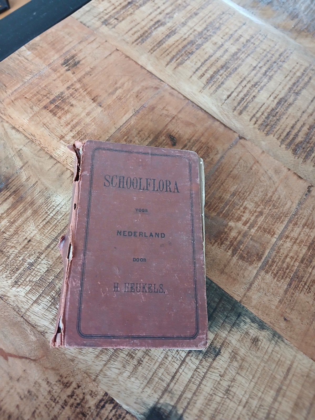 Zeldzame Schoolflora van Nederland - H. Beukels (1888), Antiek en Kunst, Antiek | Boeken en Bijbels, Ophalen, H. Beukels