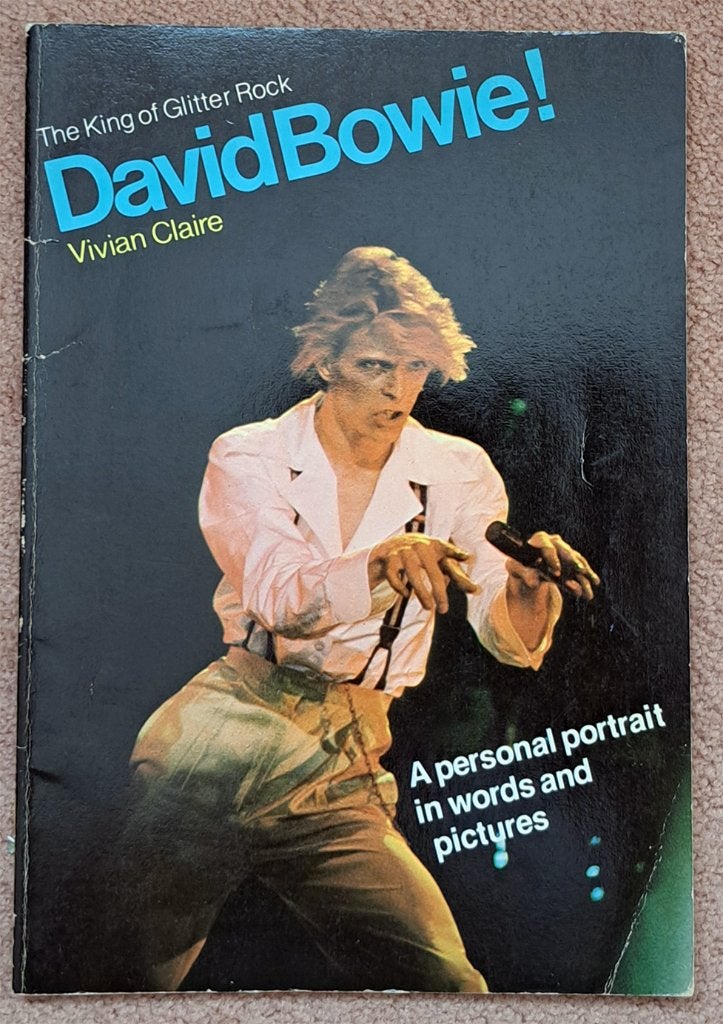 David Bowie - A personal portrait, Overige, Ophalen of Verzenden, Zo goed als nieuw, Vivian Claire