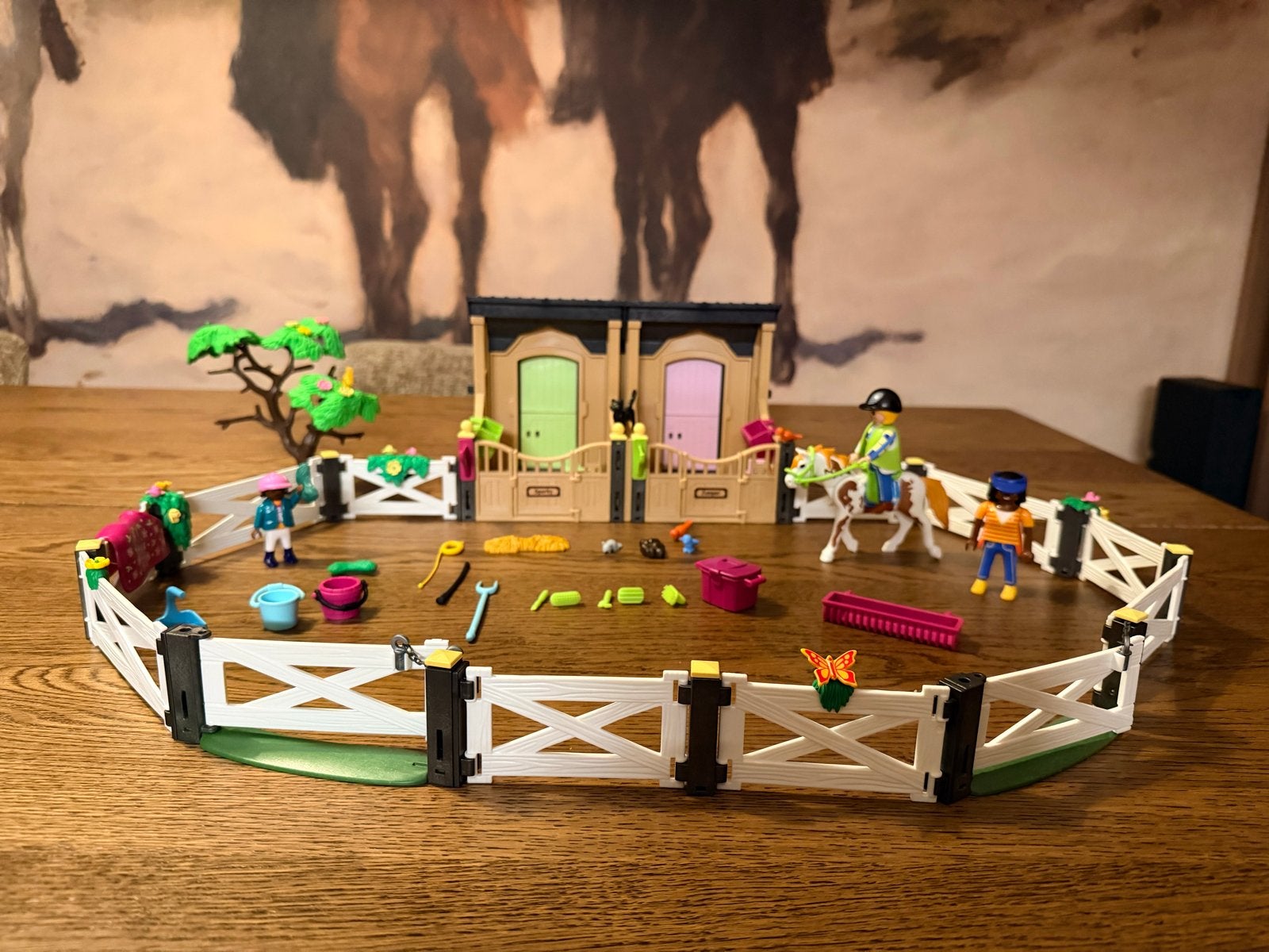 Playmobil Country 70995 rijlessen met paardenstal, Gebruikt, Complete set, Overige typen, Ophalen of Verzenden