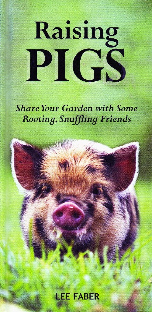 Raising Pigs - Lee Faber / 9781861472526, Boeken, Dieren en Huisdieren, Ophalen of Verzenden, Zo goed als nieuw, Vee, Lee Faber