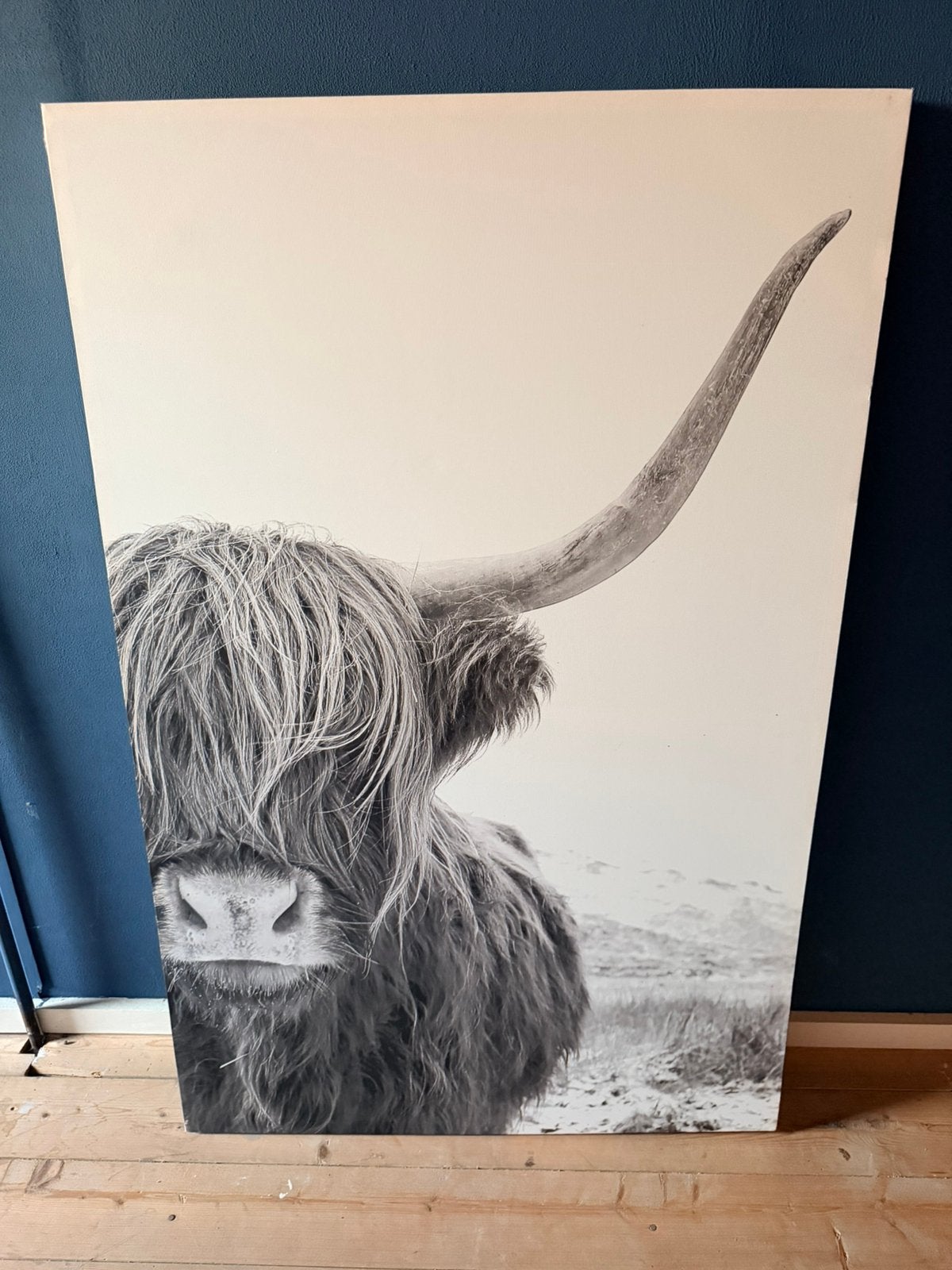 Canvasdoek schotse hooglander., 115 cm, Schilderij, Ophalen of Verzenden, Zo goed als nieuw
