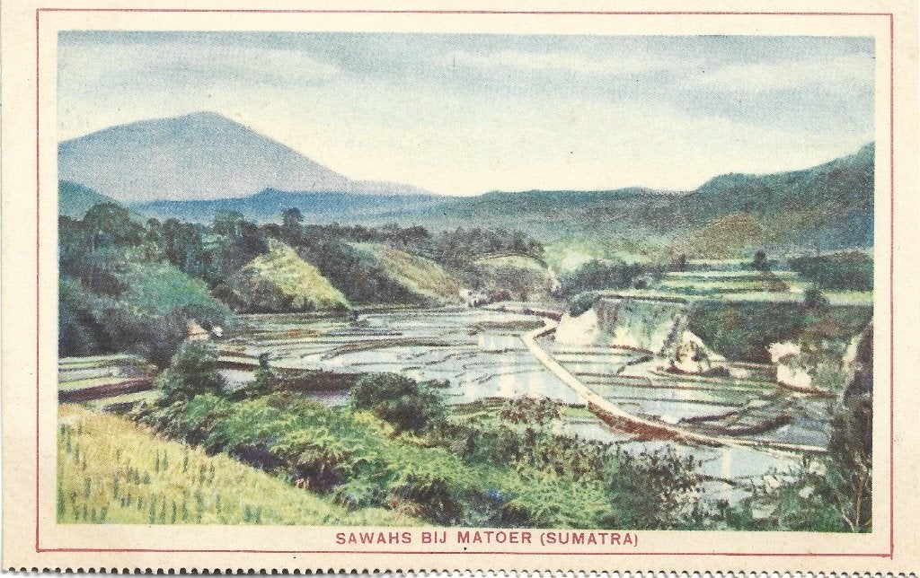 Indonesië;   Sawahs bij Matoer ( Sumatra ), Verzenden, 1920 tot 1940, Ongelopen, Buiten Europa