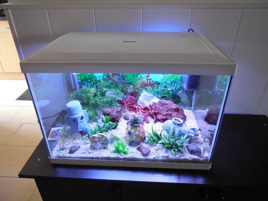 compleet superfish aquarium start 70  spongebob inrichting, Ophalen, Gebruikt, Leeg aquarium, Superfish
