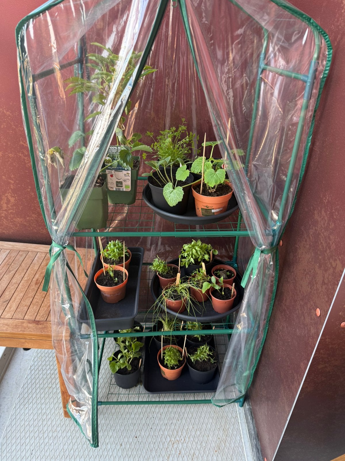 Kas (exclusief plantjes), Tuin en Terras, Kassen, Ophalen, Glas, Zo goed als nieuw, Aluminium