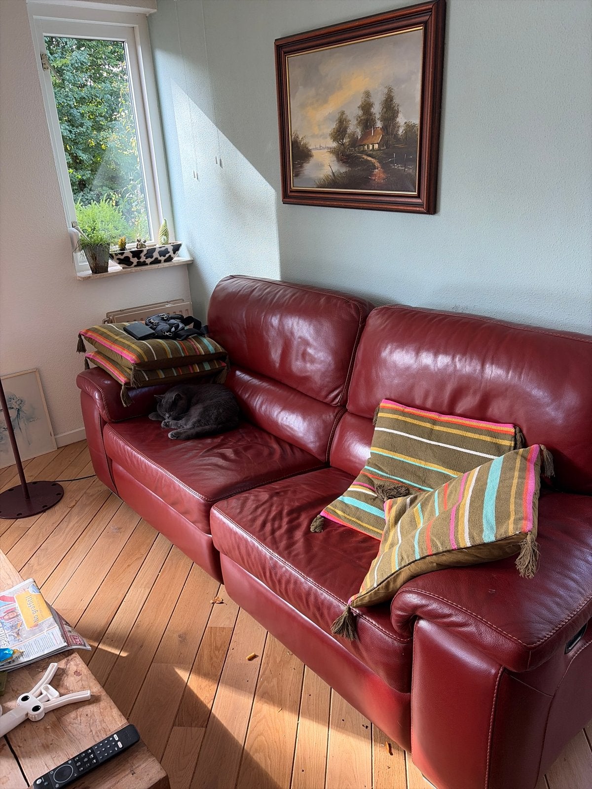 Comfortabele Leren Bank en Fauteuil - Roodbruin, Huis en Inrichting, Ophalen, Gebruikt, Leer, 75 tot 100 cm