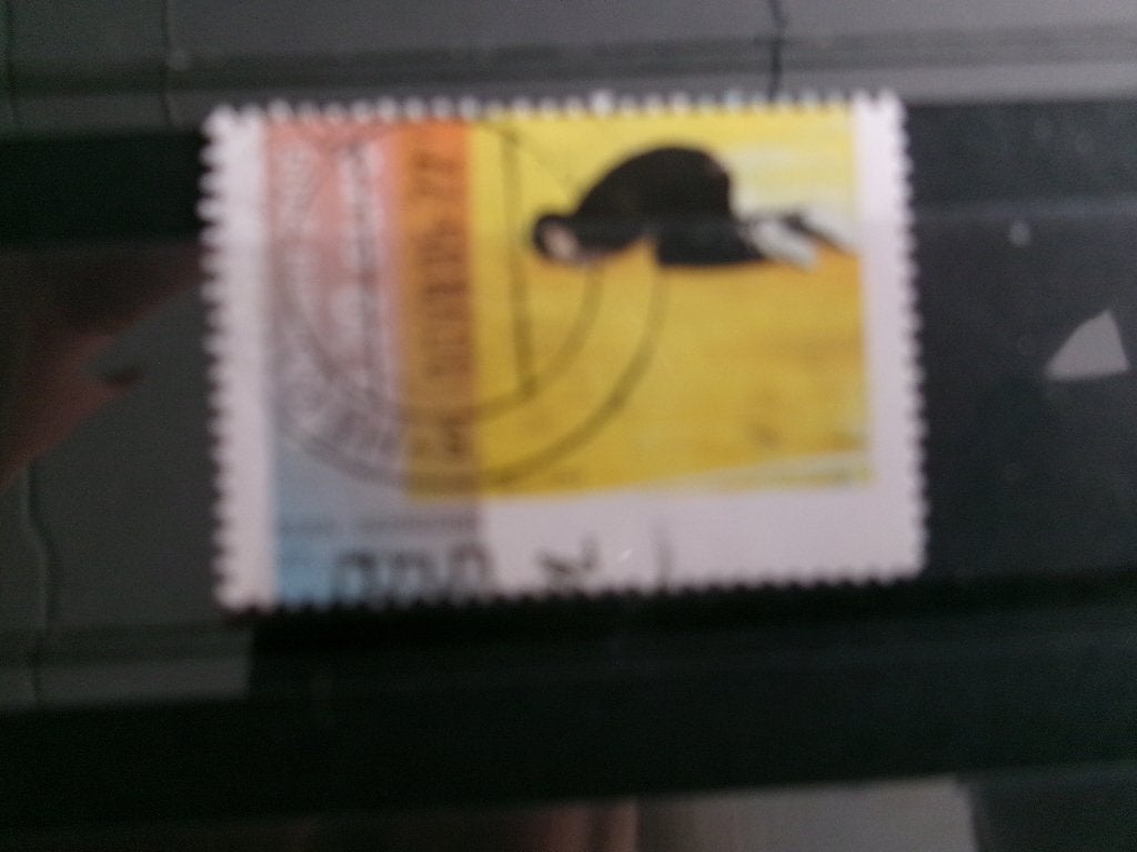 2005 - koen vermeule )219h), Ophalen of Verzenden, Gestempeld
