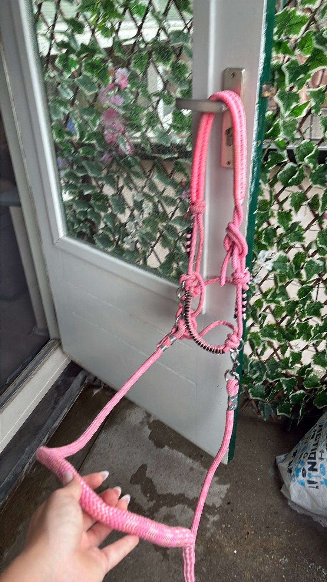 Halster touw roze met teugels, Ophalen of Verzenden, Zo goed als nieuw, Roze, Full