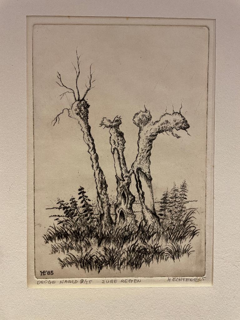 Echten, H. van - Zure regen(knotwilgen) ets droge naald 9/25, Antiek en Kunst, 2000 tot heden, 25 cm, Ets, Gesigneerd