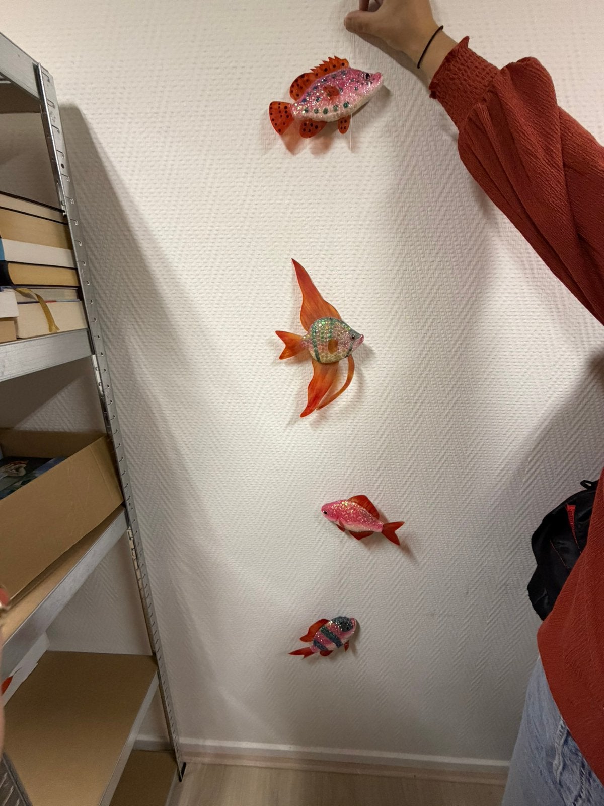 Decoratieve vissen, Ophalen