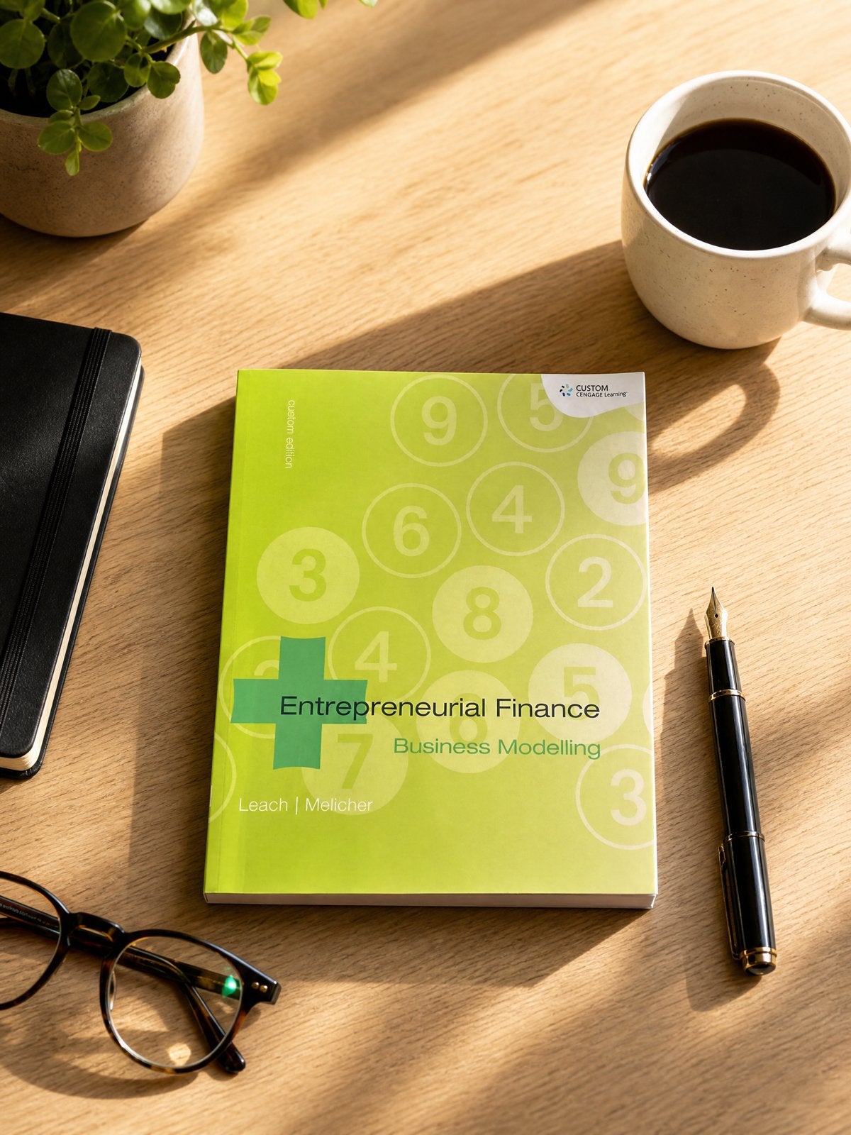 Entrepreneurial Finance Business Modelling Leach | Melicher, Ophalen of Verzenden, Gamma, Zo goed als nieuw, HBO