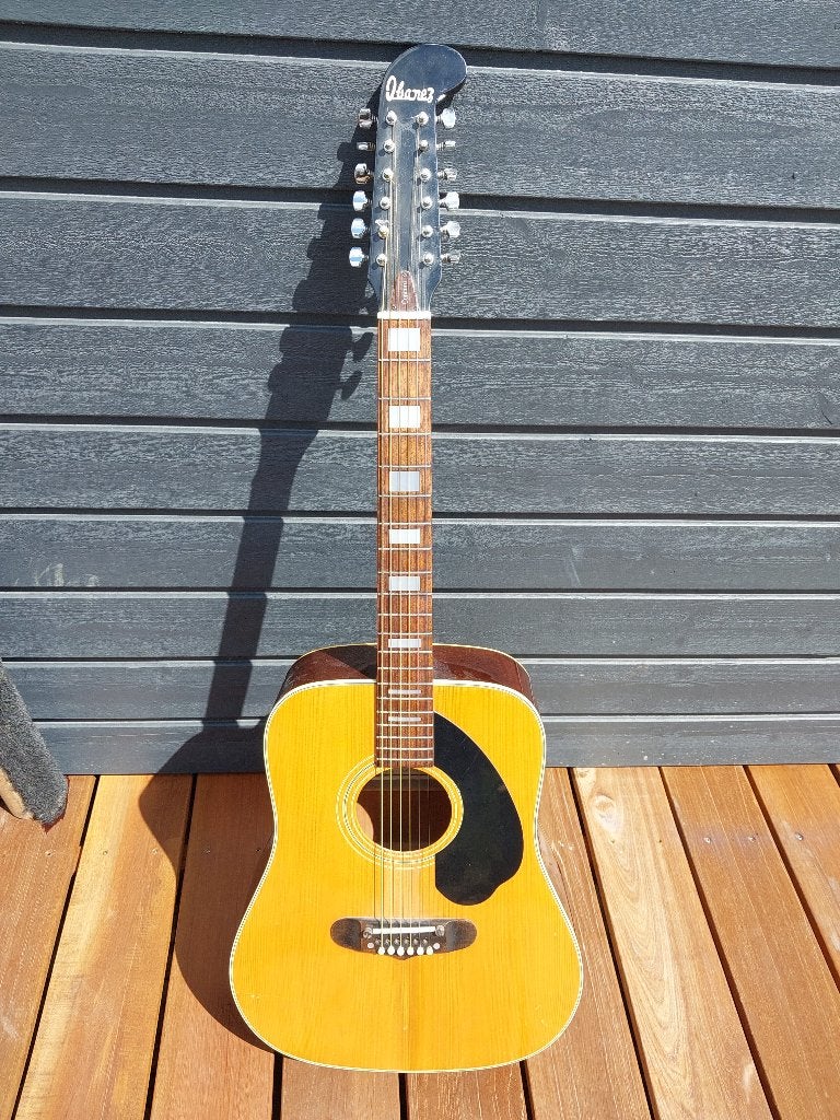 Gitaar., Muziek en Instrumenten, Ophalen, Gebruikt, Western- of Steelstringgitaar, 12-snarig