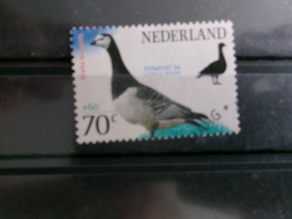 1994 - brandgans (585f), Verzenden, Gestempeld