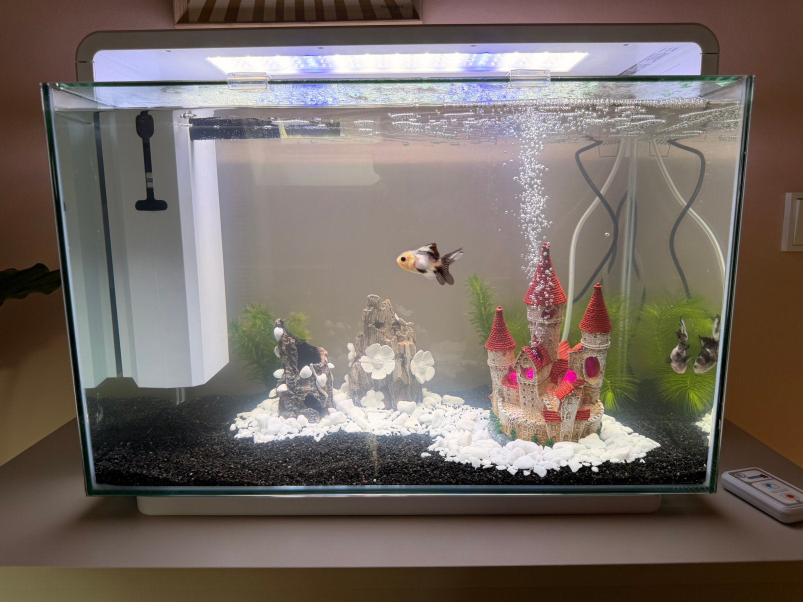 Super fish aquarium 65 liter + alle toebehoren. Als nieuw!, Ophalen of Verzenden