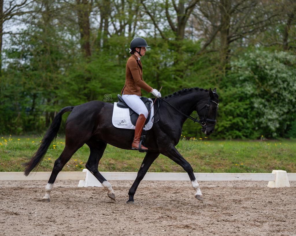 Instructie training en inrijden, Paardrijles of Ponykampen