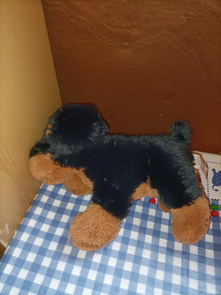 Rottweiler knuffel hond 24 cm, Ophalen of Verzenden, Zo goed als nieuw