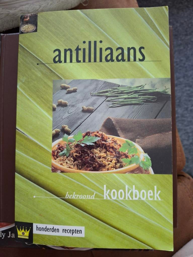 Antilliaans kookboek - Honderden recepten, Boeken, Kookboeken, Ophalen of Verzenden, Zo goed als nieuw, Overige gebieden, Hoofdgerechten
