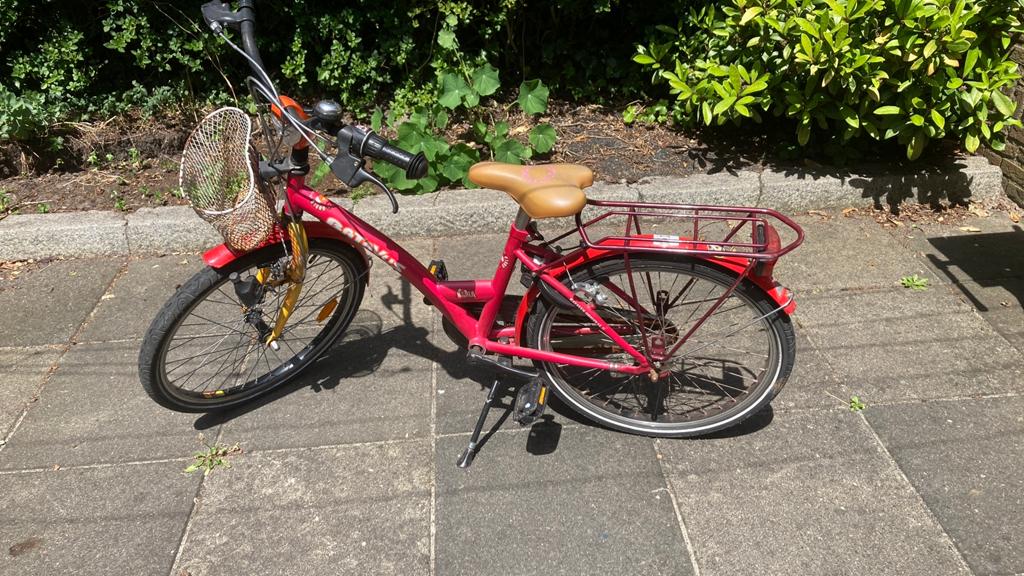 Fiets Batavus, Ophalen, Gebruikt, Terugtraprem, 22 inch